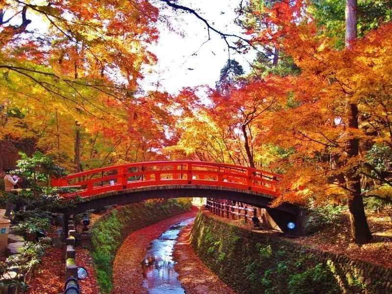 留学日本