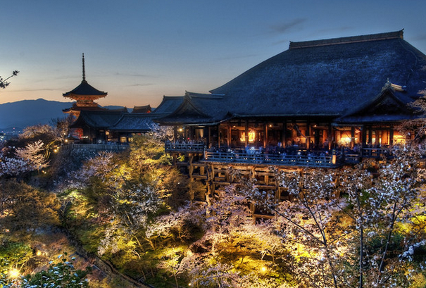 日本留学