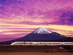 芥末留学