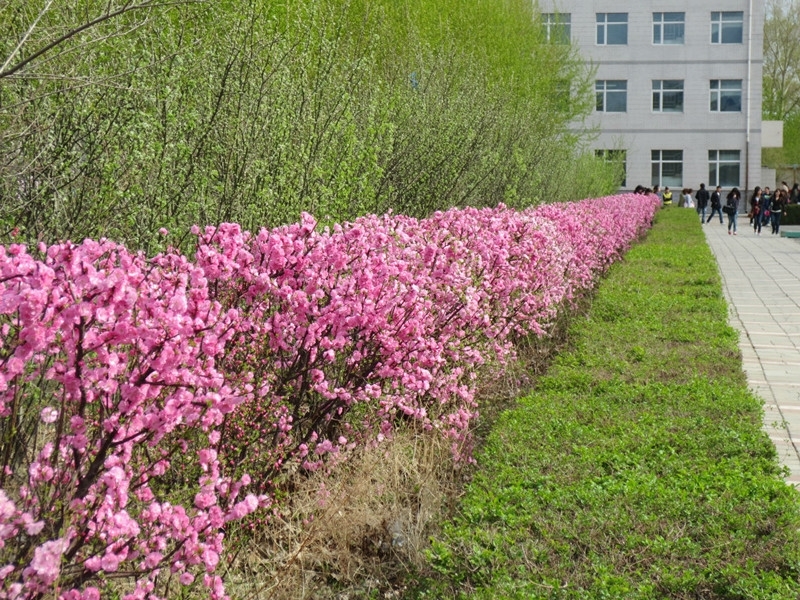 英國(guó)留學(xué)