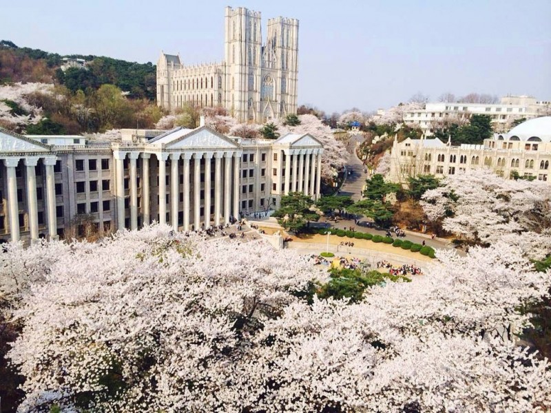 韩国留学