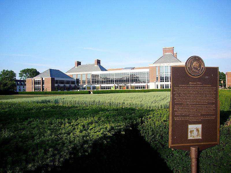 新加坡管理大学怎么样？