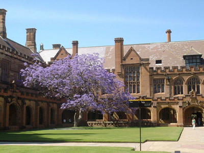 2019世界大学排名 奥克兰大学重新进入前200
