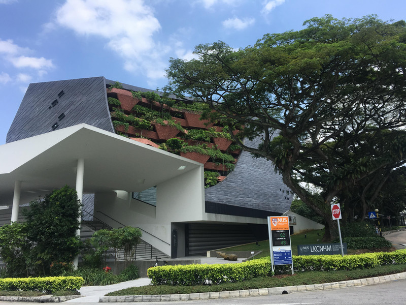 新加坡国立大学申请的条件是怎样的？