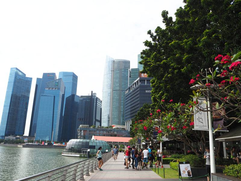 新加坡pr申请条件（流程）