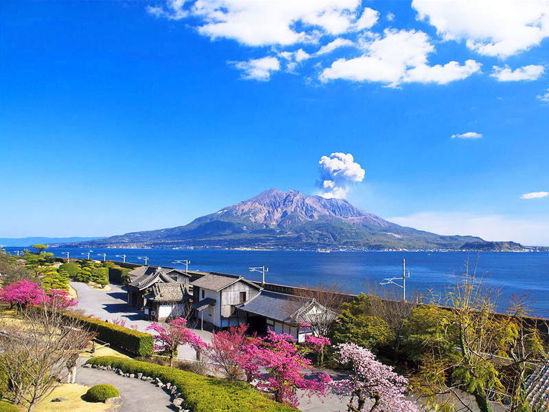 日本留学