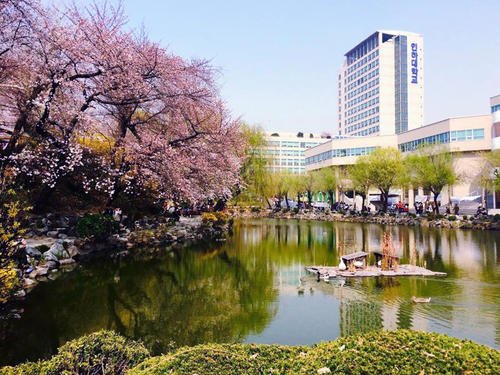 仁荷大学