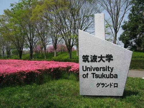 筑波大学世界排名！（最新）