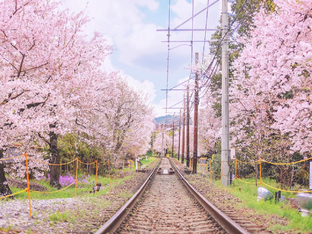 日本北海道有哪些大学？