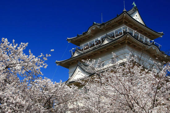 小田原，赏梅的名胜景点丨日本留学生活