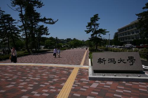 日本留学