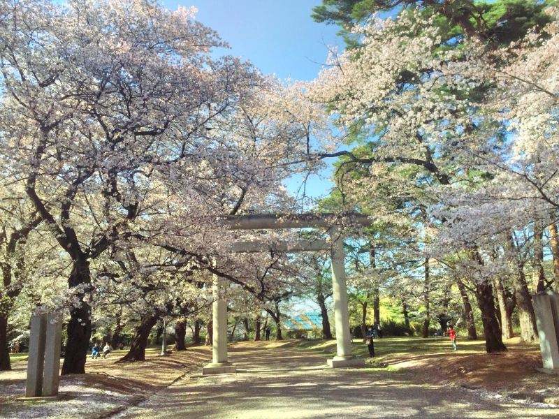日本埼玉大学介绍！（日本留学）