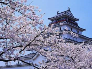 在国内就可以搞定的日本留学新选择！