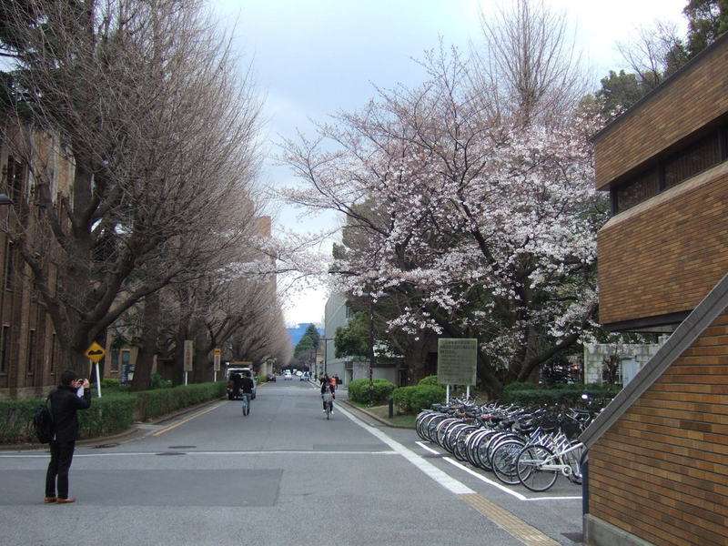 日本东京大学留学要求！（日本留学）