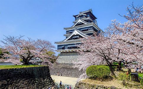 日本留学