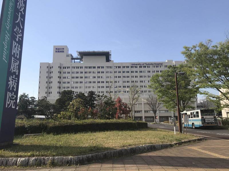 日本留学