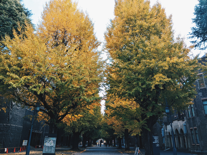 日本经济大学介绍！（日本留学）