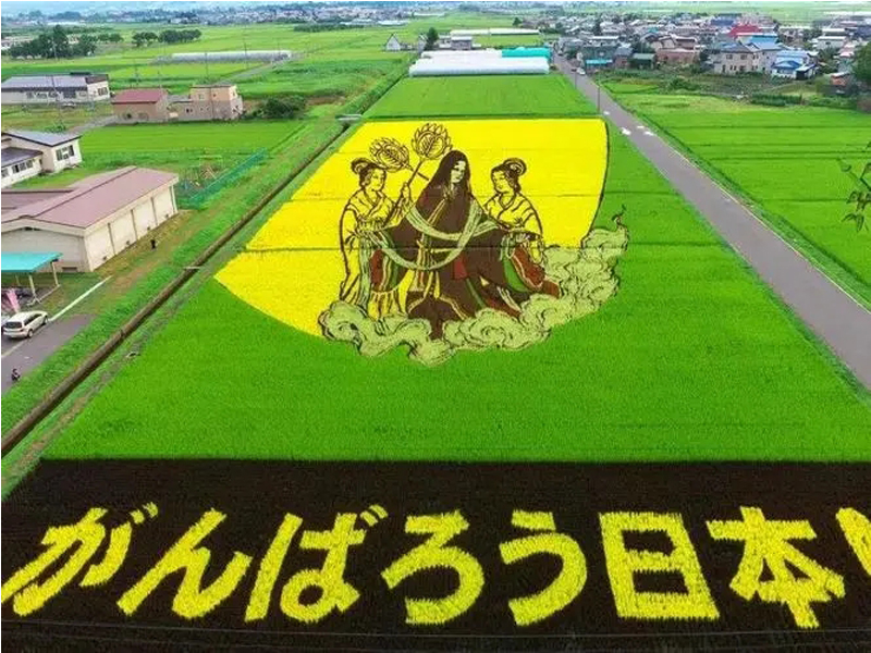 日本农学专业大学排名！