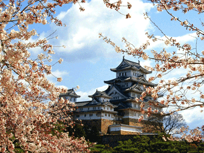 干货！教你如何选择适合自己的留学专业！(日本留学)