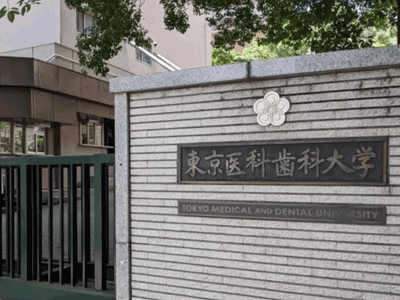 日本大学在2023QS学科排名中表现如何？