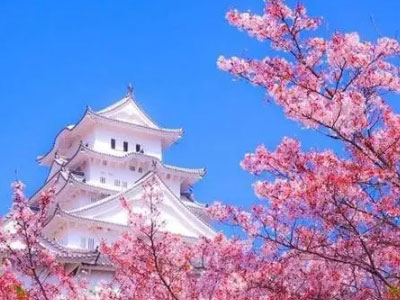 日本留学资讯：日本留学最新动态！_日本留学