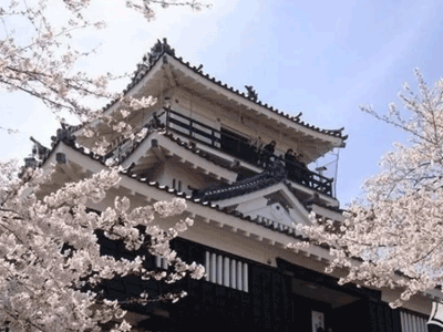 日本留学对日语能力最低的要求是什么？_日本留学
