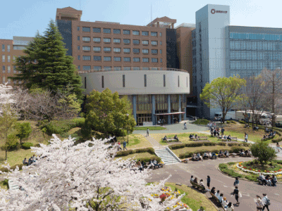 在国内也可以直申的日本大学_樱美林大学—日本留学