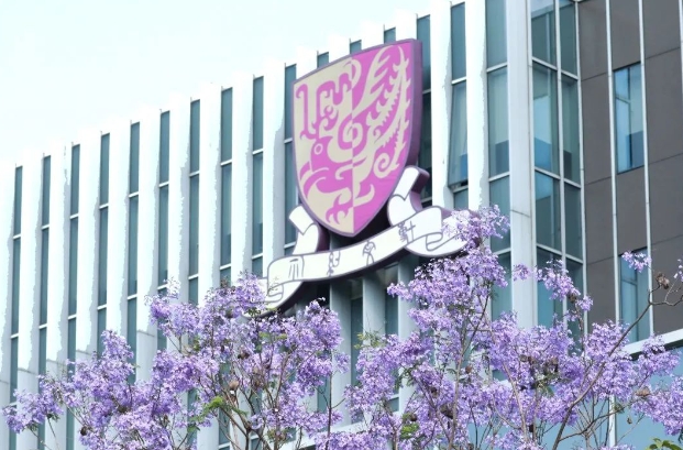 香港中文大学(深圳)一中国语言文学硕士介绍