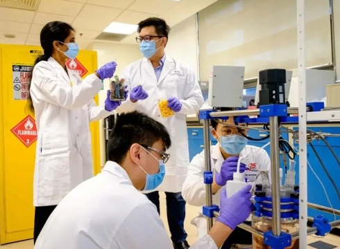 新加坡南洋理工大学-化学、化学工程及生物技术学院申请要求-新加坡留学