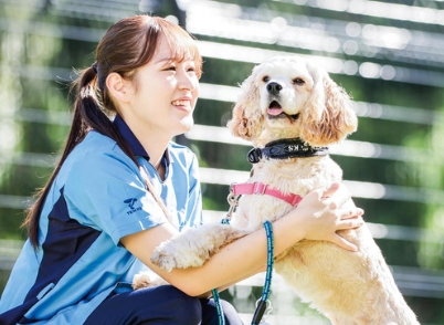 新国家资格“宠物看护师”——以在提供新实习室和最新课程的帝京平成大学合格为目标（日本留学）