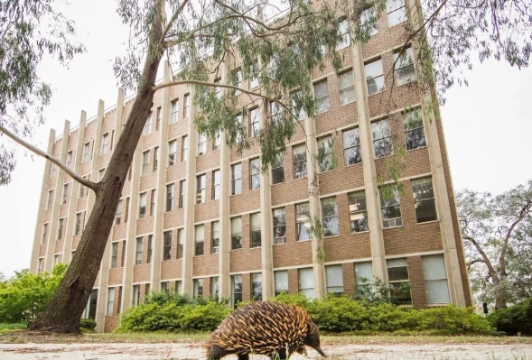 澳洲留学新政策|澳大利亚国立大学录取重大调整