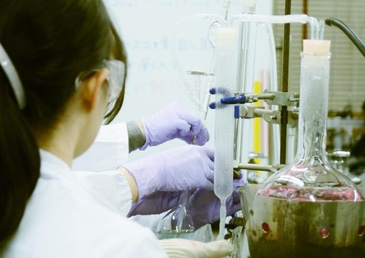 日本女子大学预定开设食科学部函授课程食科学科(暂称)