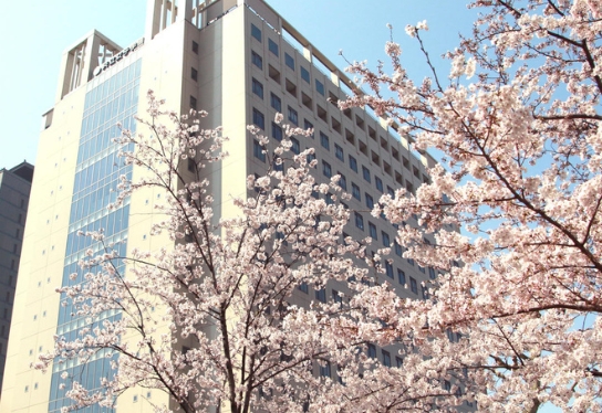 时事新闻| 日本共立女子大学从2025年开始实施以基础学历为中心评价的综合型选拔