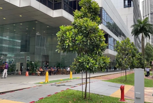 英国伦敦商业金融学院新加坡校区开设工程学管理硕士！新加坡留学