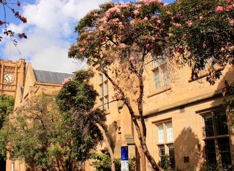 墨尔本大学2025 S1/S2 部分课程提前截止！澳洲留学