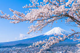 日本留学