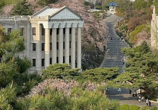 庆熙大学