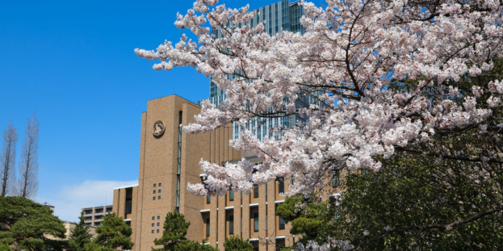 日本留学