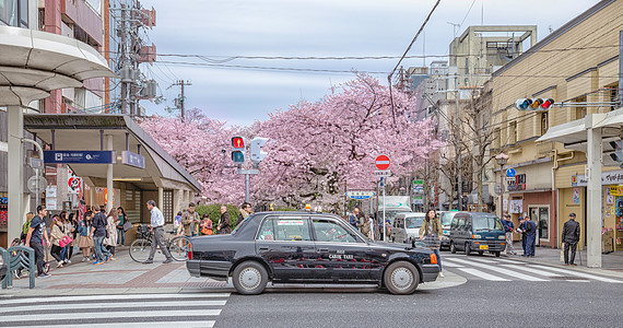 日本留学