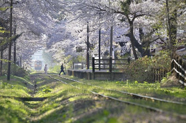 日本留学