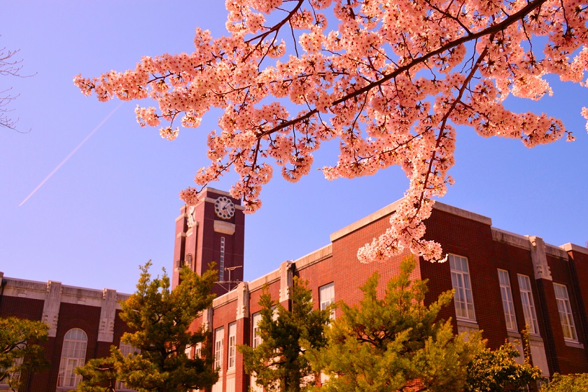 日本留学