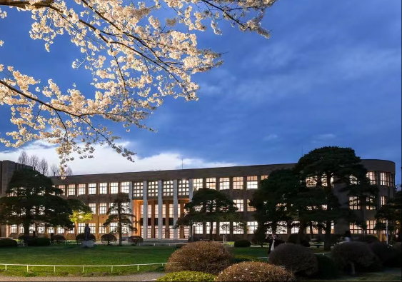 日本大学排名