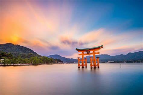 日本留学