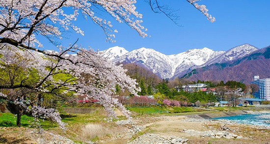 日本留學
