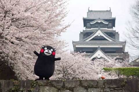 日本留学