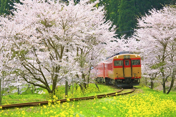 日本留學