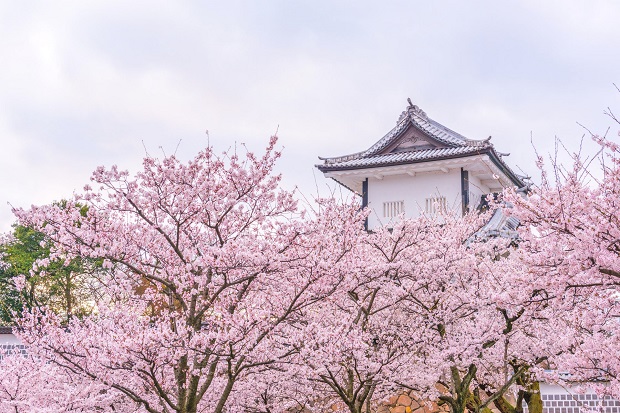 日本留學