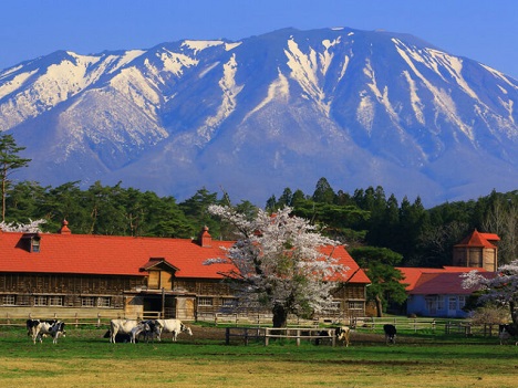 日本留學