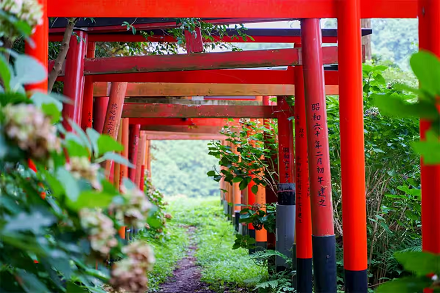 日本留學