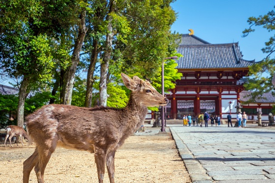 日本留學